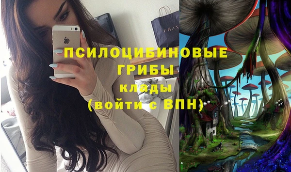 кокаин премиум Алексеевка